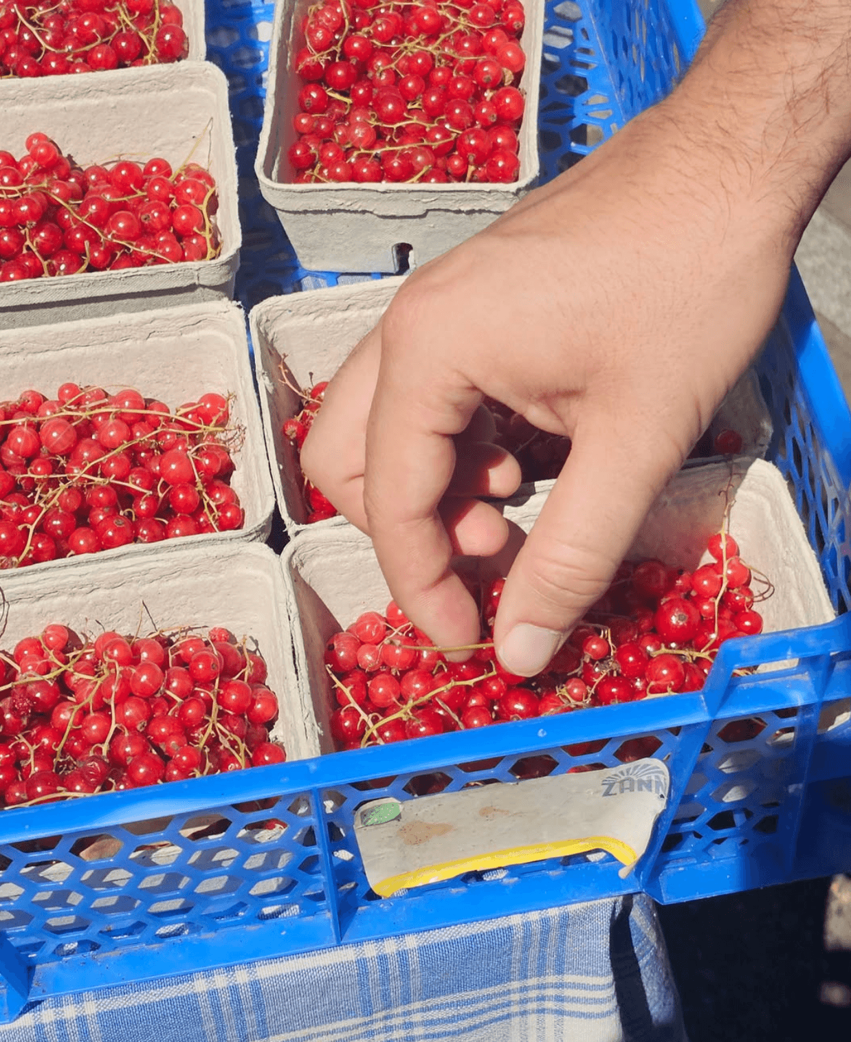 Nutrient rich British produce