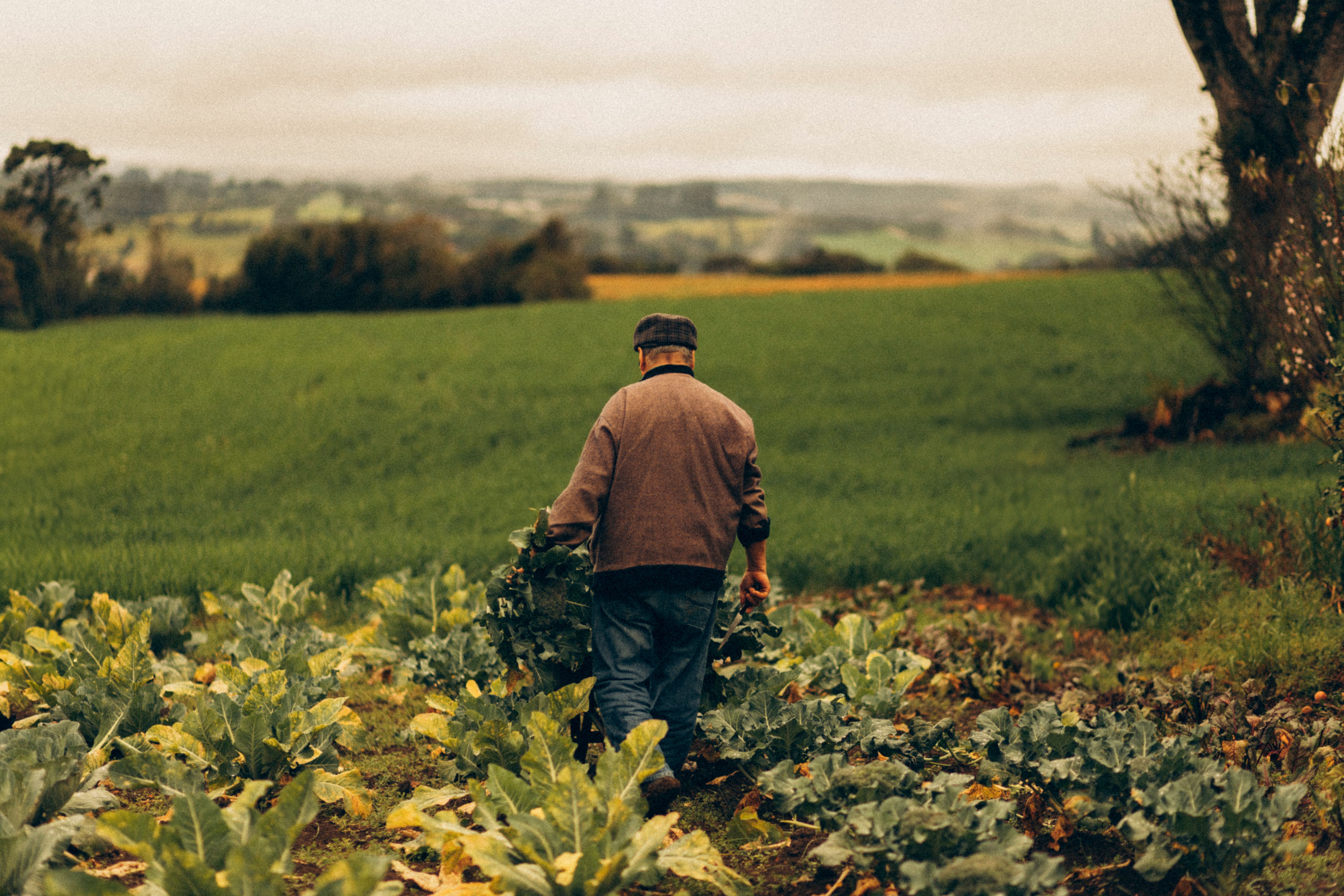 British farmer