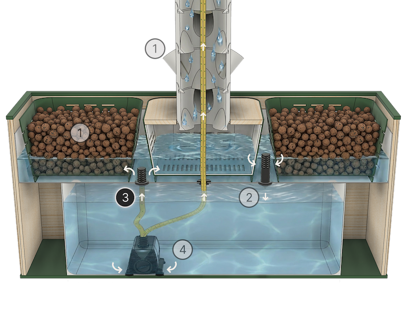 Automated feeding & watering